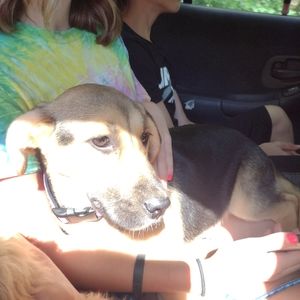 Meet your Posher, Tristan